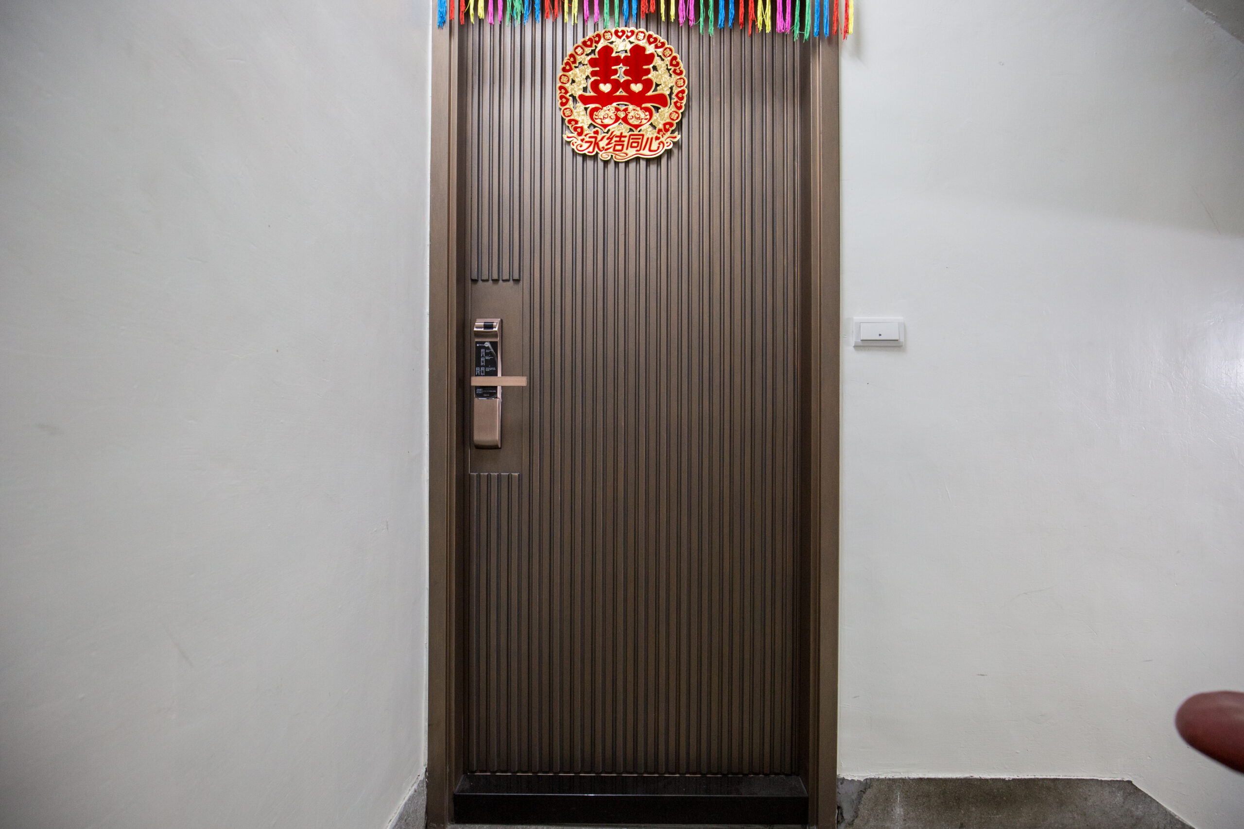 01 Exterior view of the BlueWhale Fire-Rated Smoke-Seal Soundproof Door
