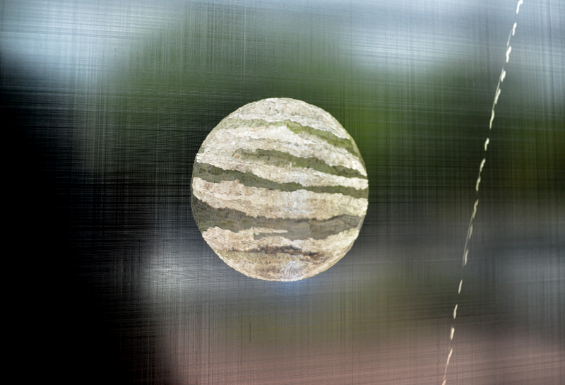 Venus
